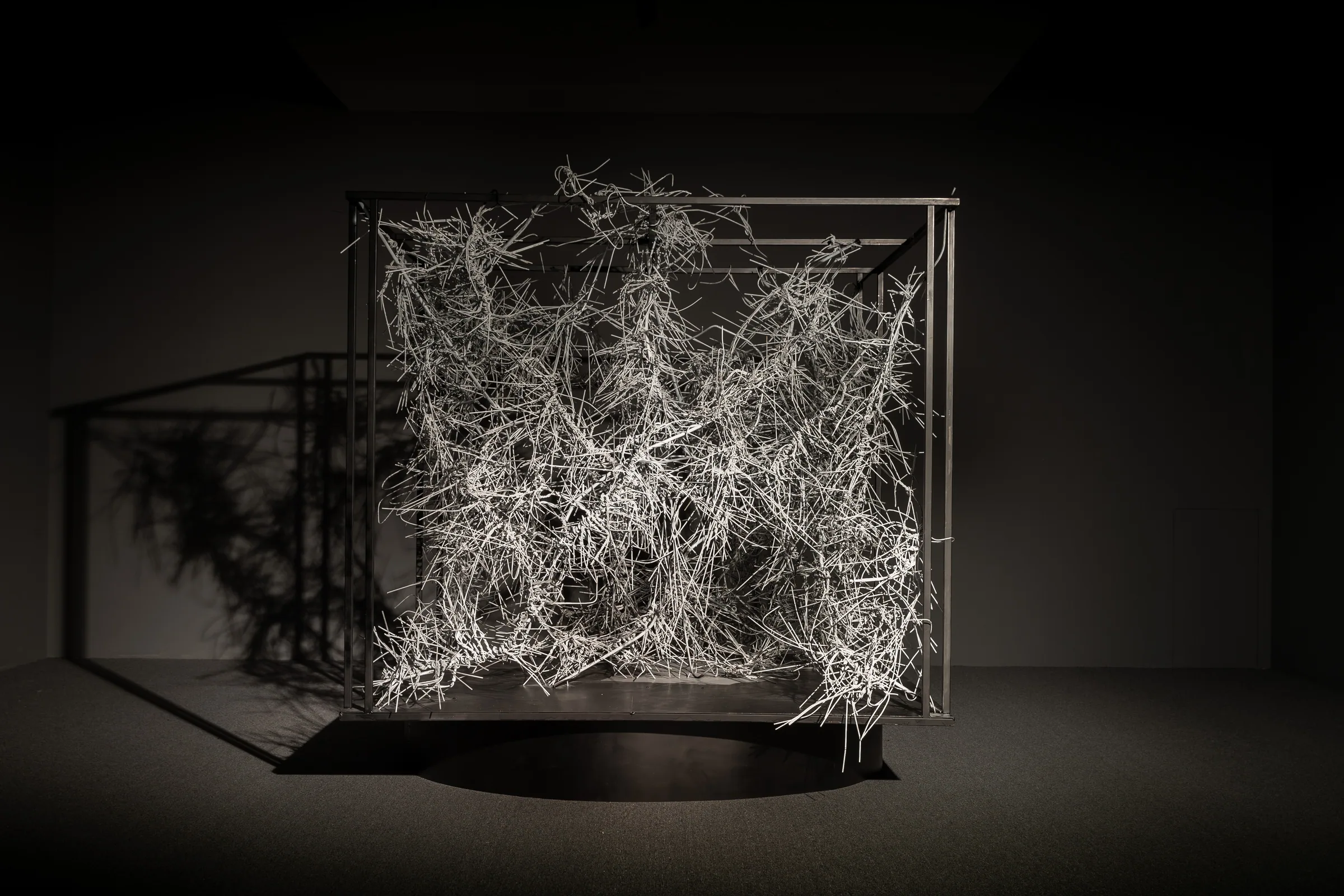 Paul Chiang’s “Purification Night” installation work — a cubic structure of interwoven steel rods like thorns suspended in a darkened room, light cast from above