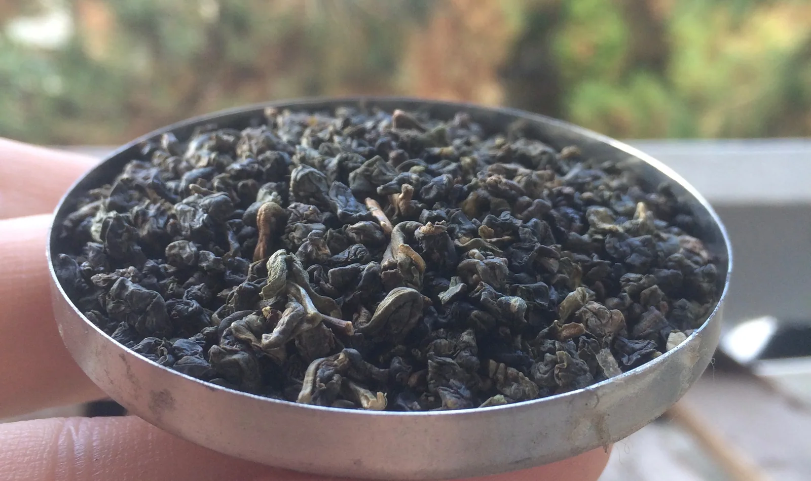 Chá seco e infusão do Oolong Dongding
