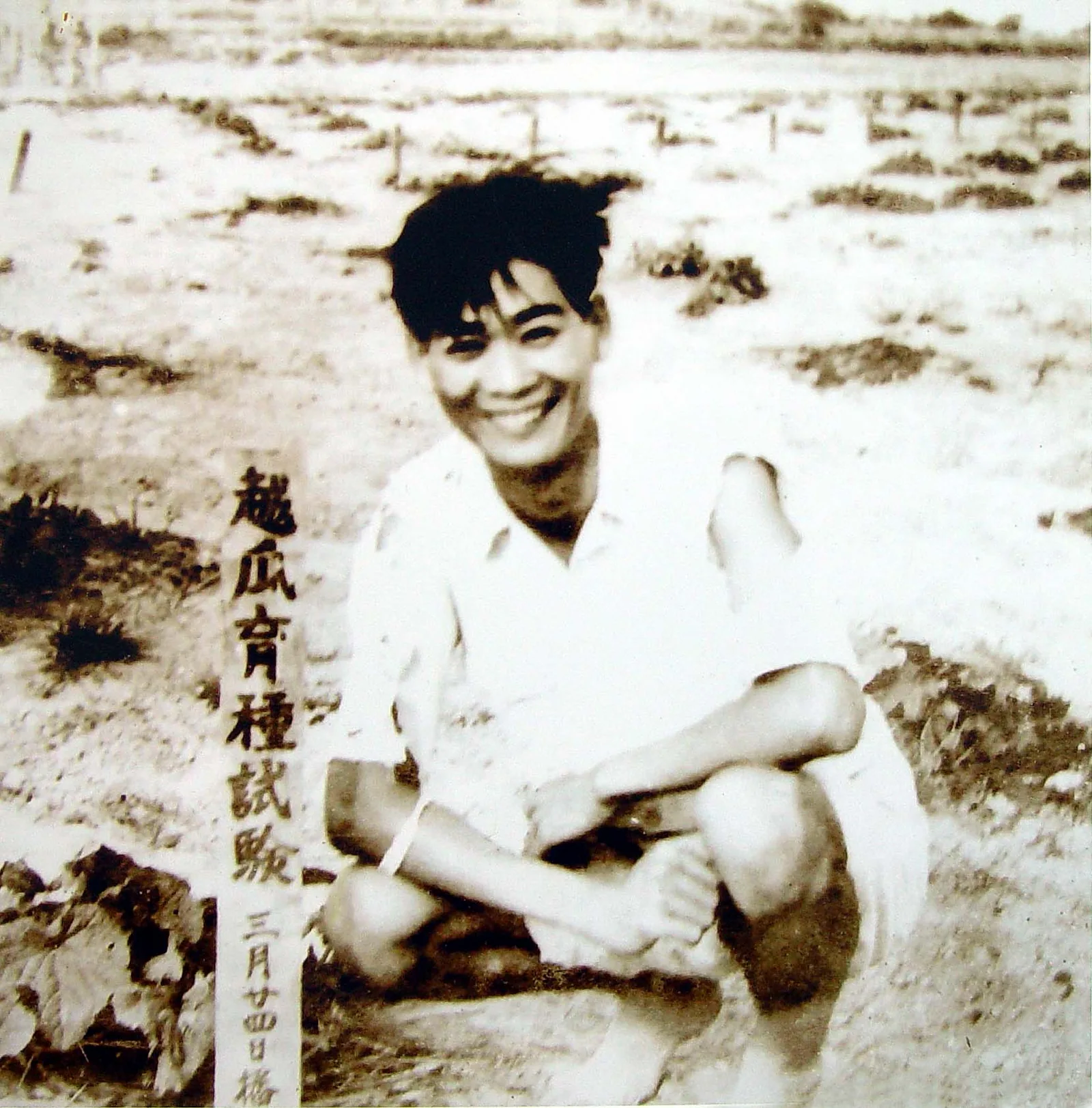 陳文郁在田間培育東方甜瓜