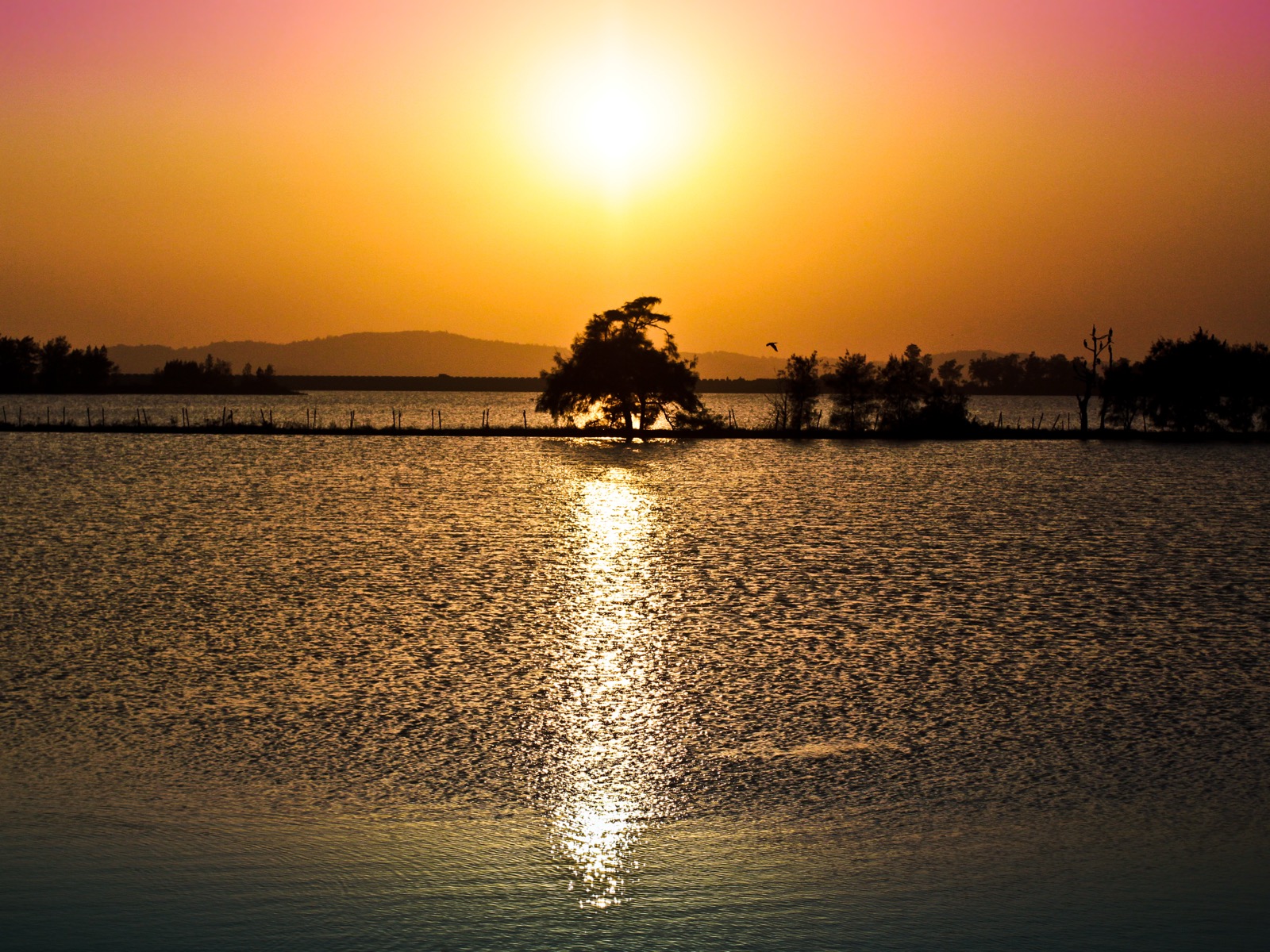 金門慈湖夕照——鄭愁予 2005 年落籍金門後常獨行的海邊