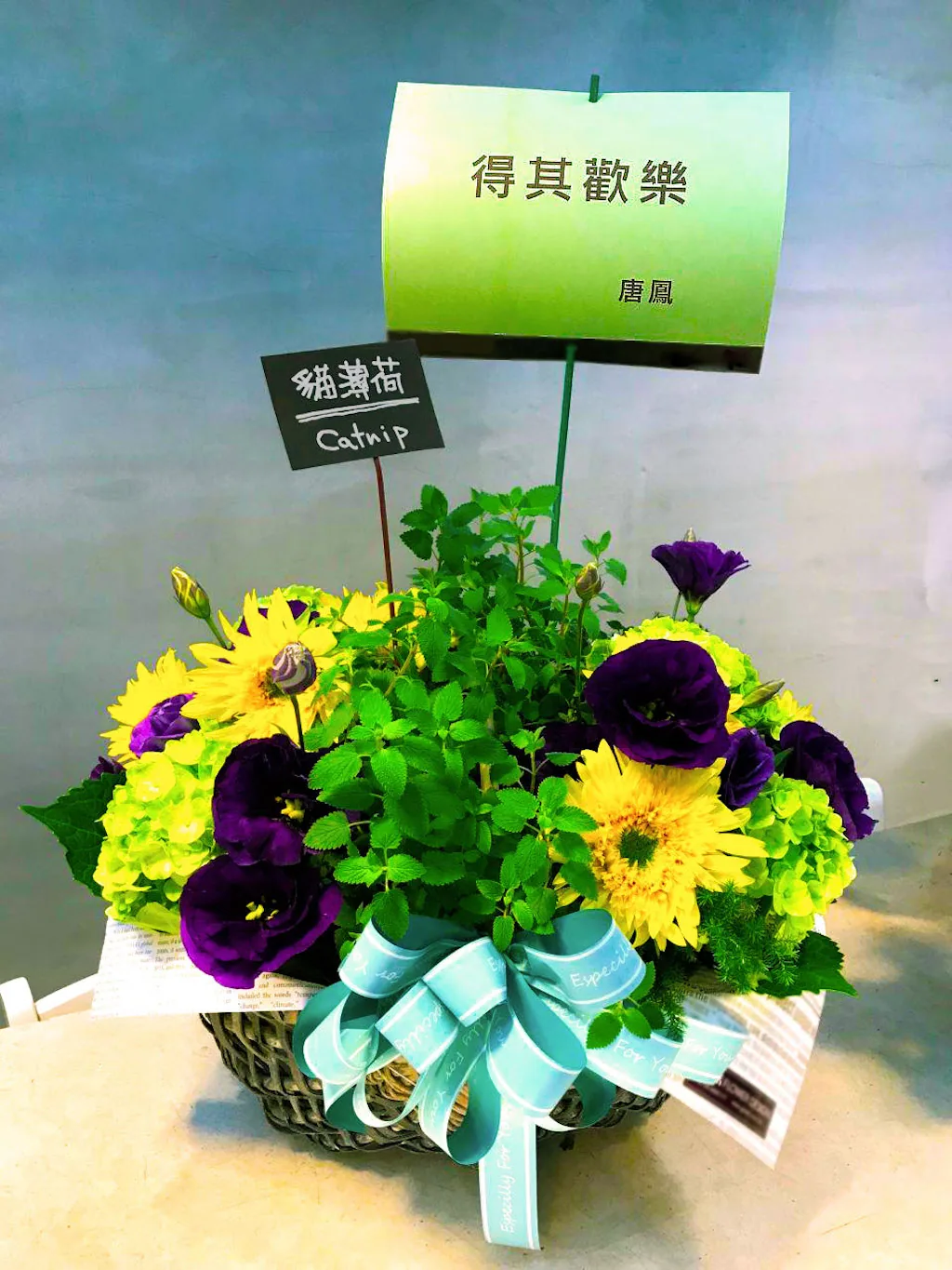 PDIS 在歡樂無法黨創黨大會當日送上的貓薄荷花籃