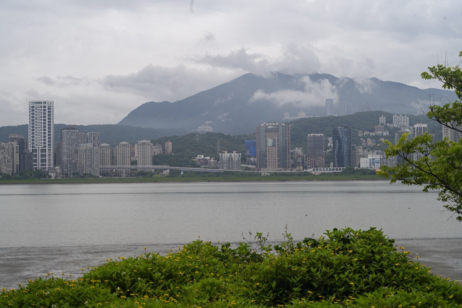 新北市淡水區住宅大樓群,密集公寓樓棟緊密排列,呈現台灣都市典型中高層集合住宅景觀